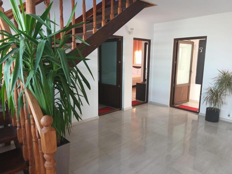Vila Maranca Hotel Două Mai Eksteriør billede